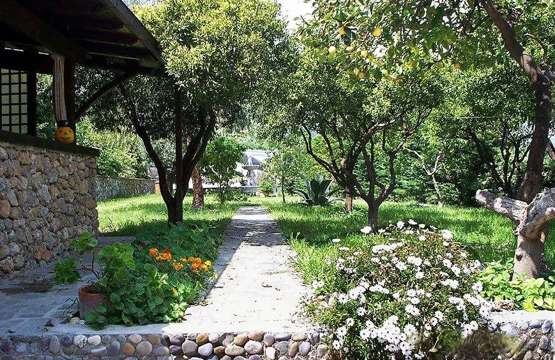 La tana del tasso Ventimiglia-1