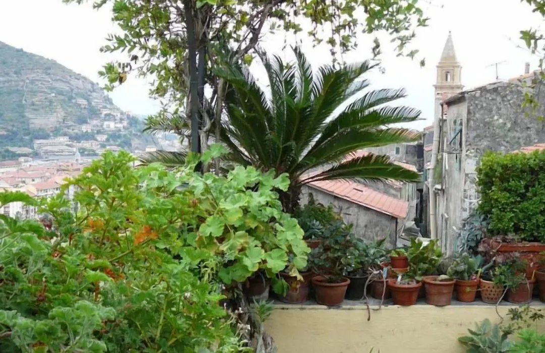 La Terrazza dei Pelargoni B&B-1